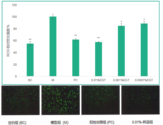 Ergothioneine powder coa Ergothioneine powder coa