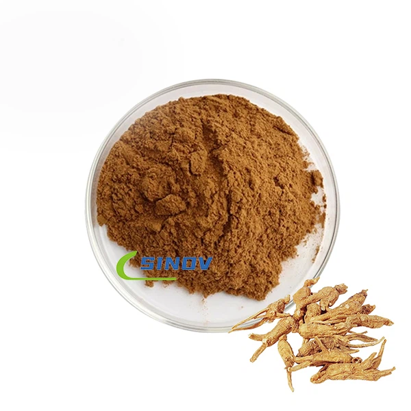 Organic Angelica Polymorpha sinensis ekstrakts
