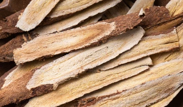 Organic Astragalus Extract Organic Astragalus Extract