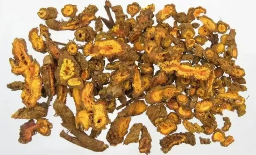 Dried Coptidis Rhizome Extract Dried Coptidis Rhizome Extract
